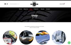 web design online shop ecommerce
