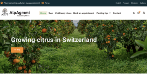 web design ecommerce switzerland